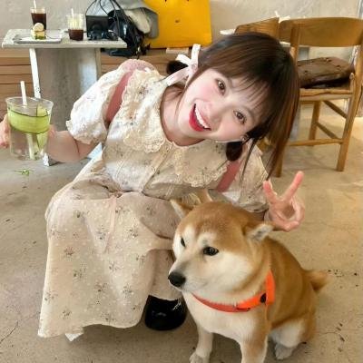 乌龙教授嗱喳招